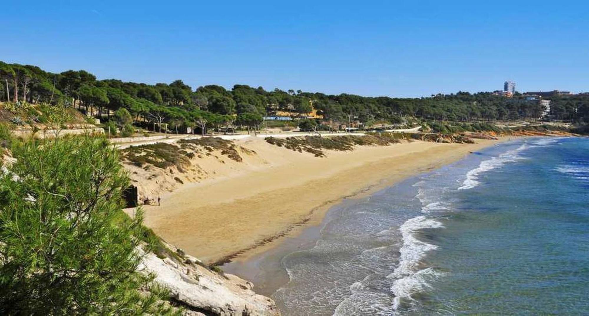 520 - Golden Coast Paradise 살루 외부 사진